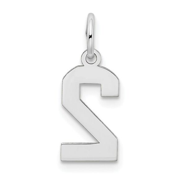 14k White Gold, Jersey Collection, Small Number 2 Pendant - Picture 3 of 5